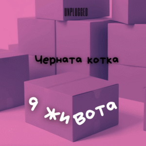 Черната котка