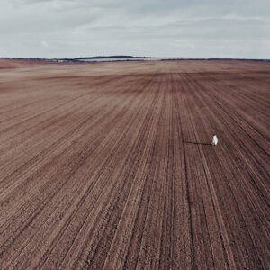 Lost Again