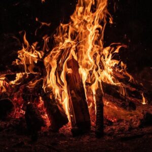 Вечната любов