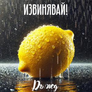 Дъжд