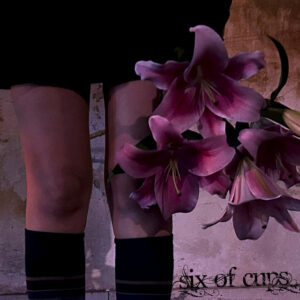 6 of Cups