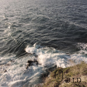 B.I.D