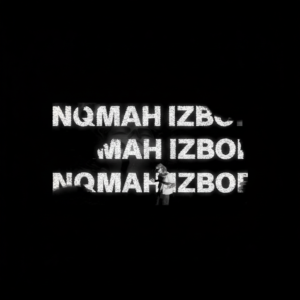 НЯМАХ ИЗБОР