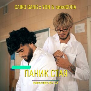 ПАНИК СТАЯ